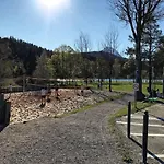 Apartment Bio Am Wildsee In Seefeld Mit E-ladestation