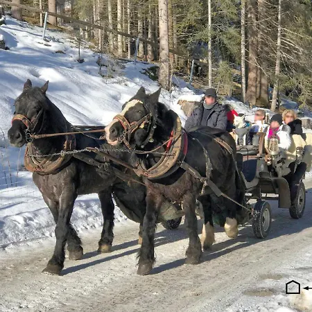 Bio Am Wildsee In Seefeld Mit E-ladestation * Seefeld in Tirol