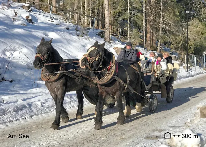 Bio Am Wildsee In Seefeld Mit E-ladestation * Seefeld in Tirol