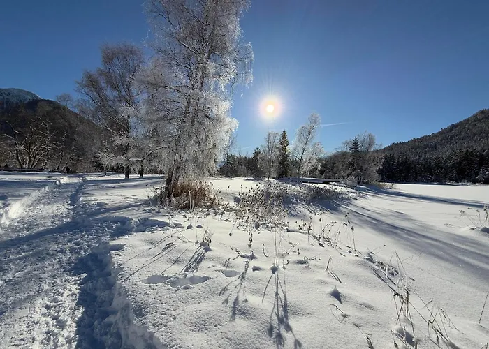 Bio Am Wildsee In Seefeld Mit E-ladestation Seefeld w Tirolu