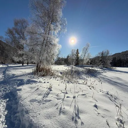 Bio Am Wildsee In Seefeld Mit E-ladestation Зеефельд в Тироле